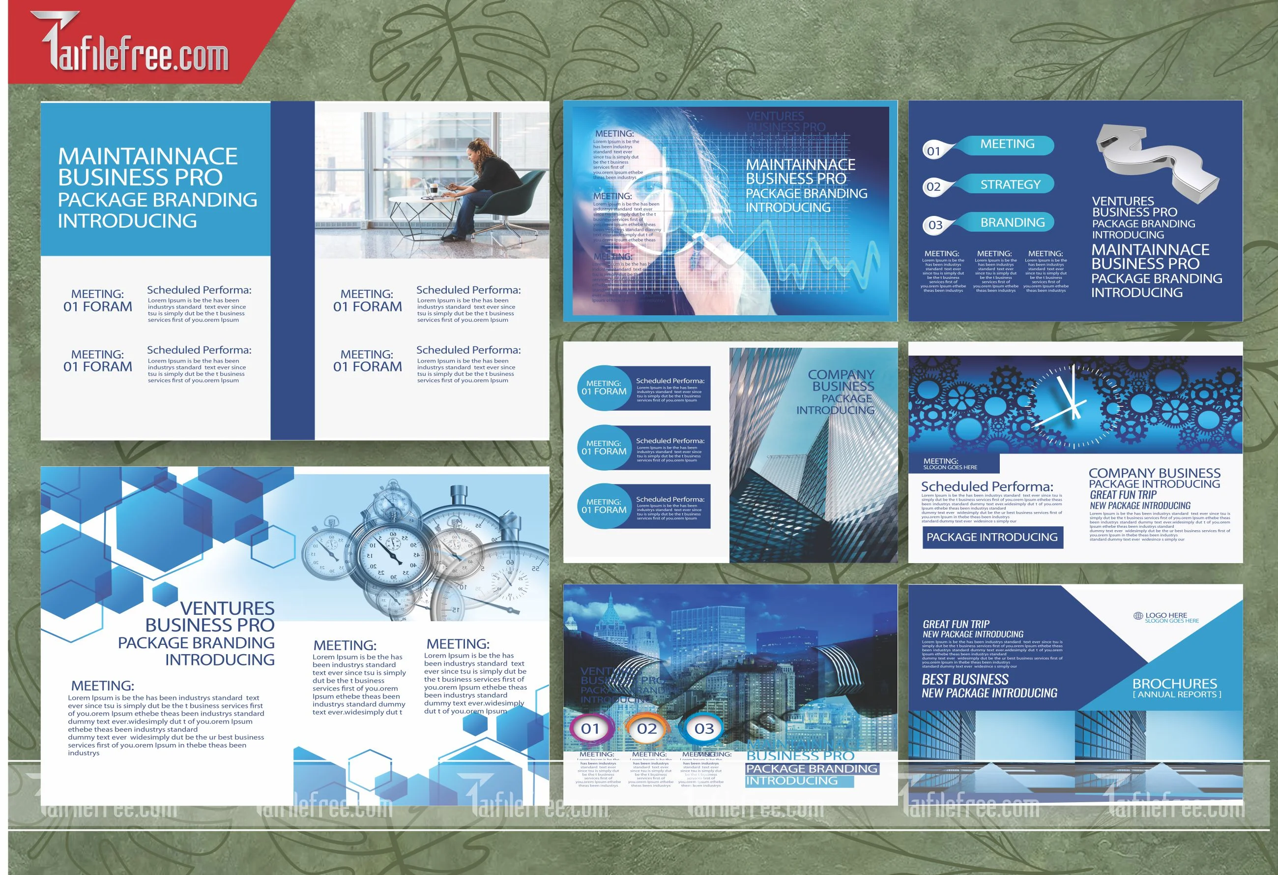 Mẫu Catalogue Đẹp File Vector CB13