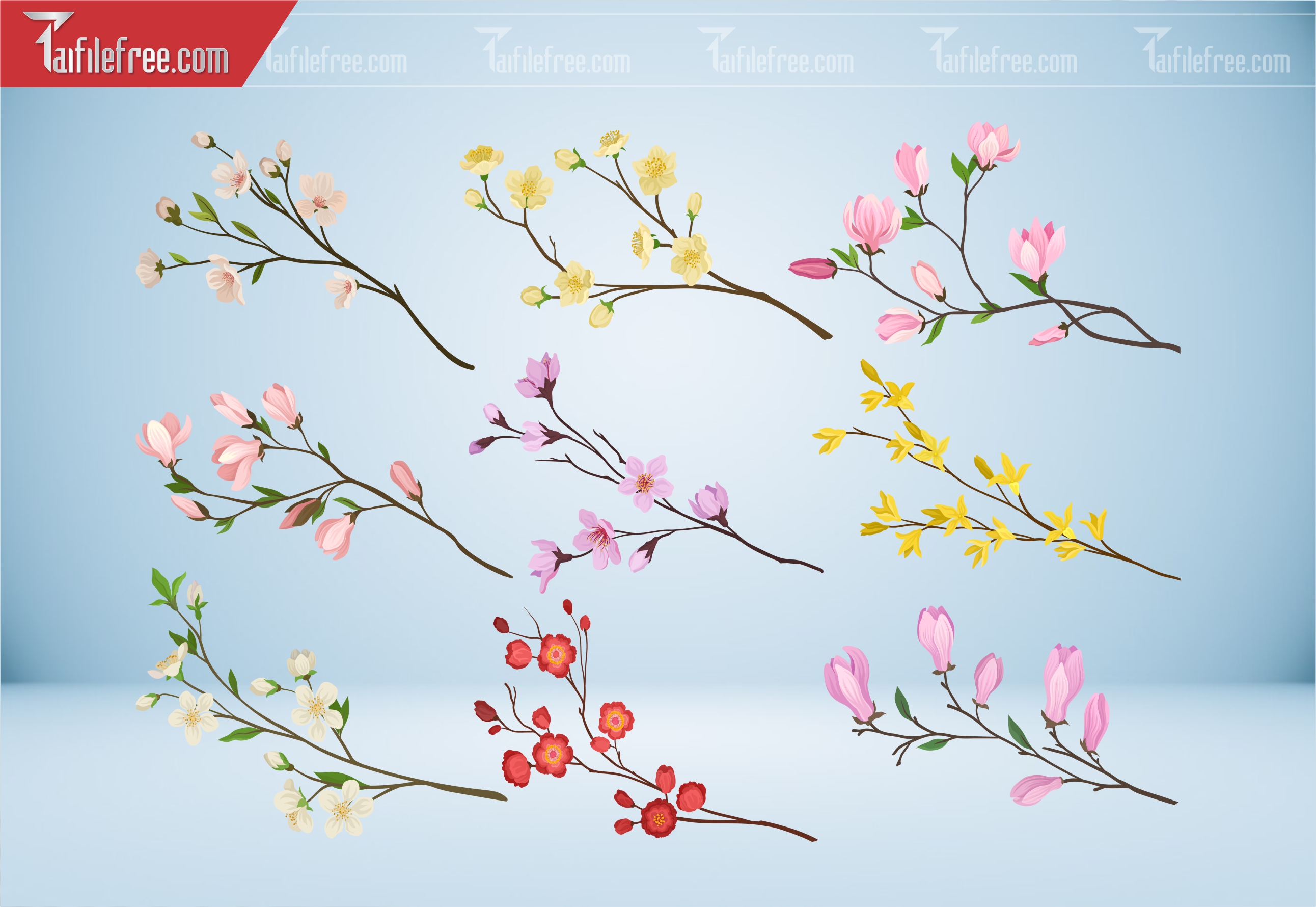 Dữ Liệu, Họa Tiết Tết, Cành Hoa Mai, Hoa Đào Vector_DLT98